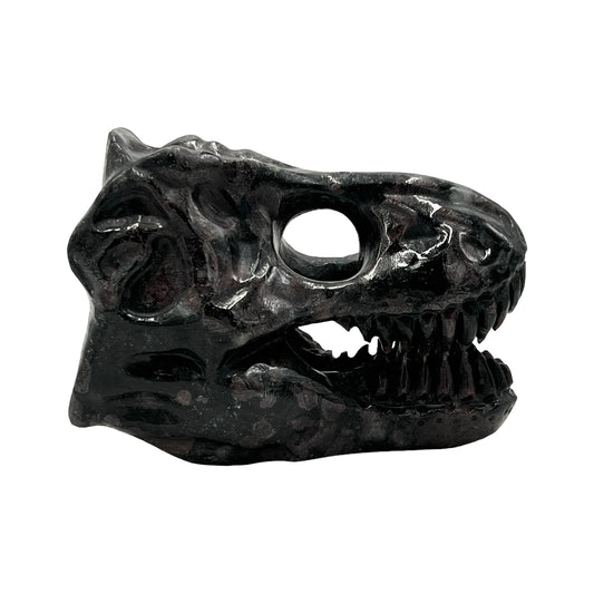 Skull (Garnet T-Rex)