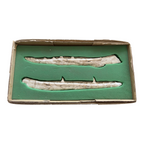 Gavialimimus Mosasaur Jaw Pair