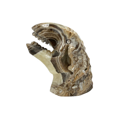 Skull (Gemstone T-Rex)