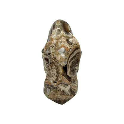 Skull (Gemstone T-Rex)