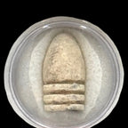 Invasion of Georgia Bullet Display