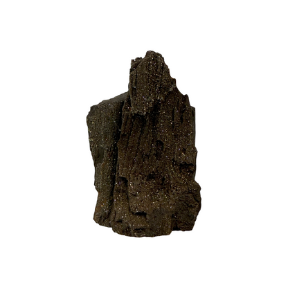 German Petrified Wood