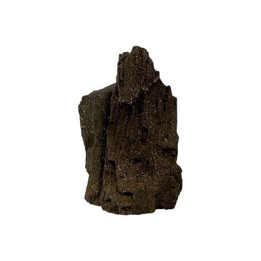 German Petrified Wood