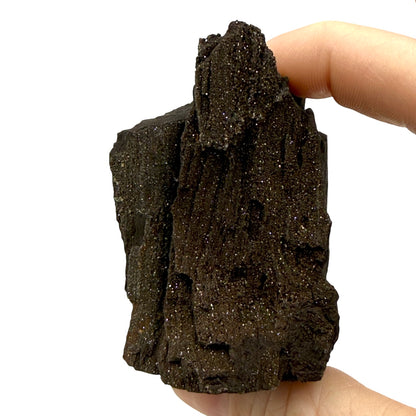 German Petrified Wood