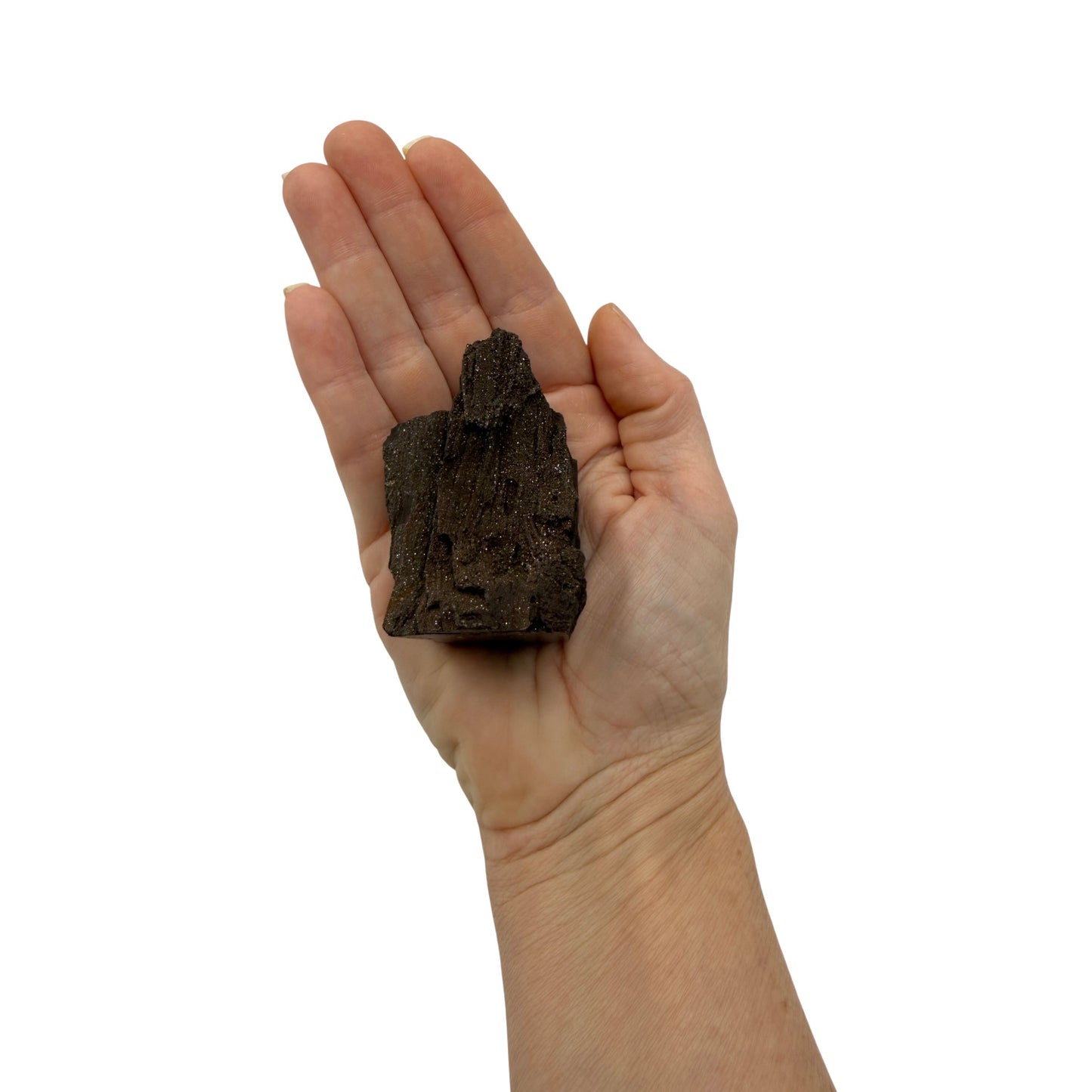 German Petrified Wood