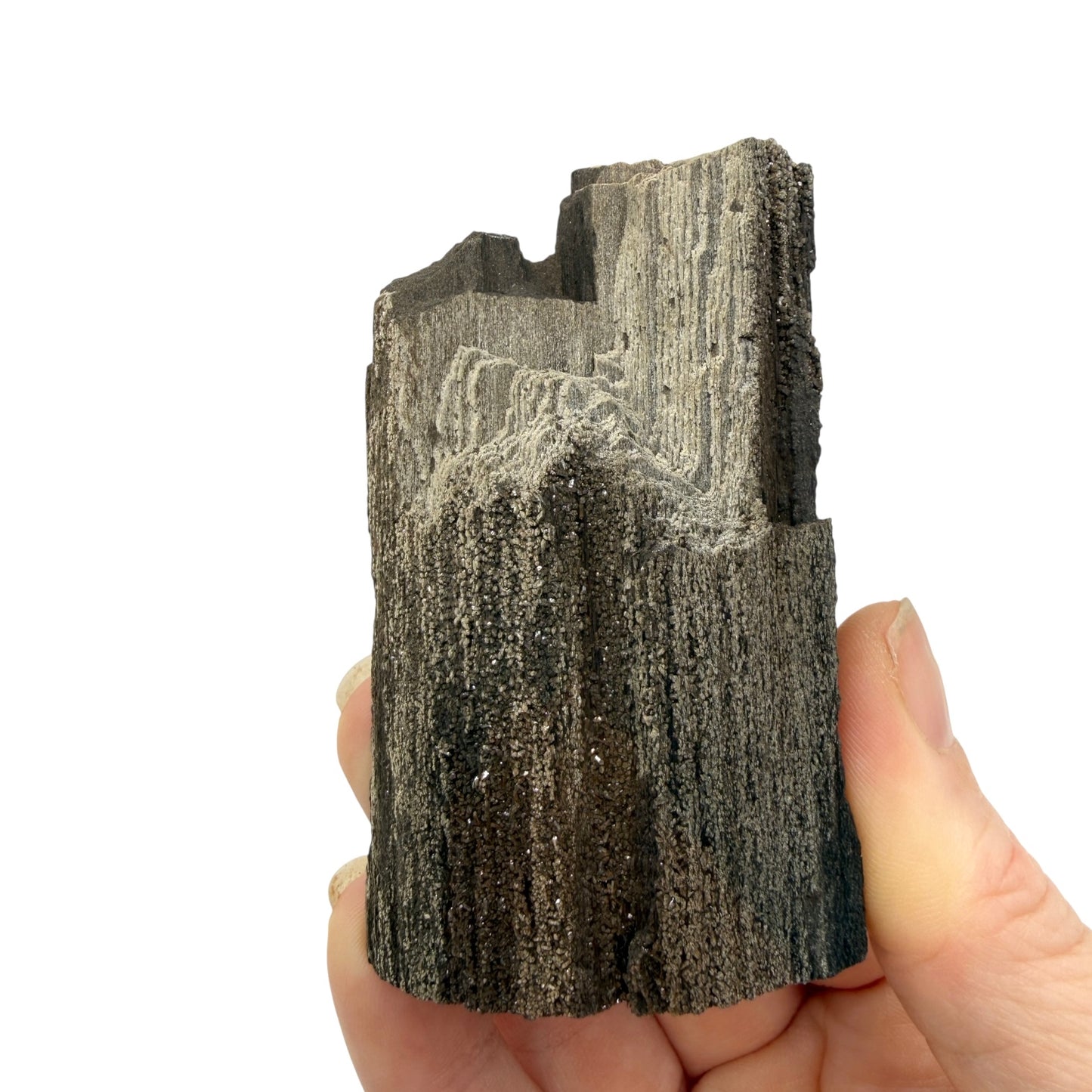 German Petrified Wood