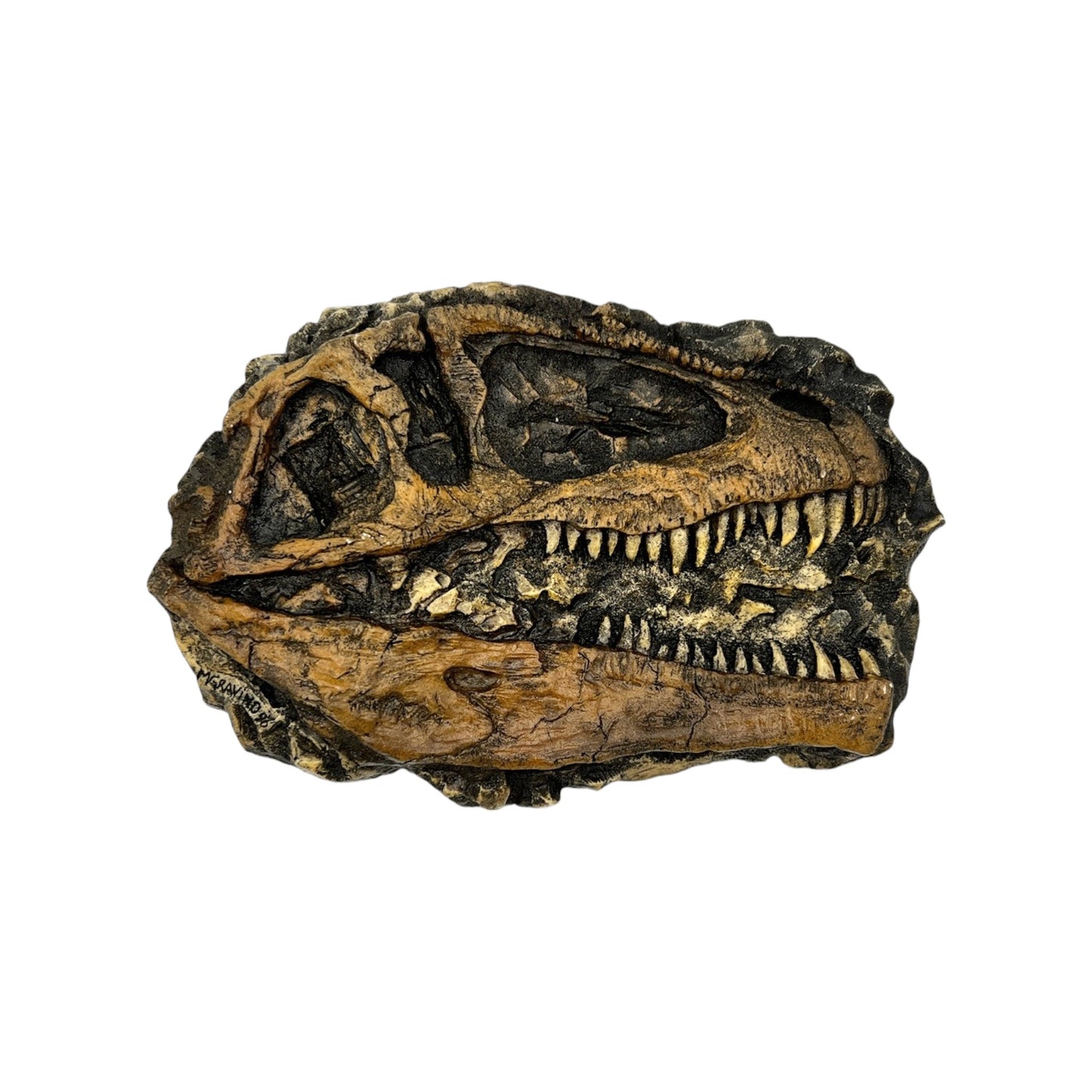 Skull Replica (Giganotosaurus Plaque)