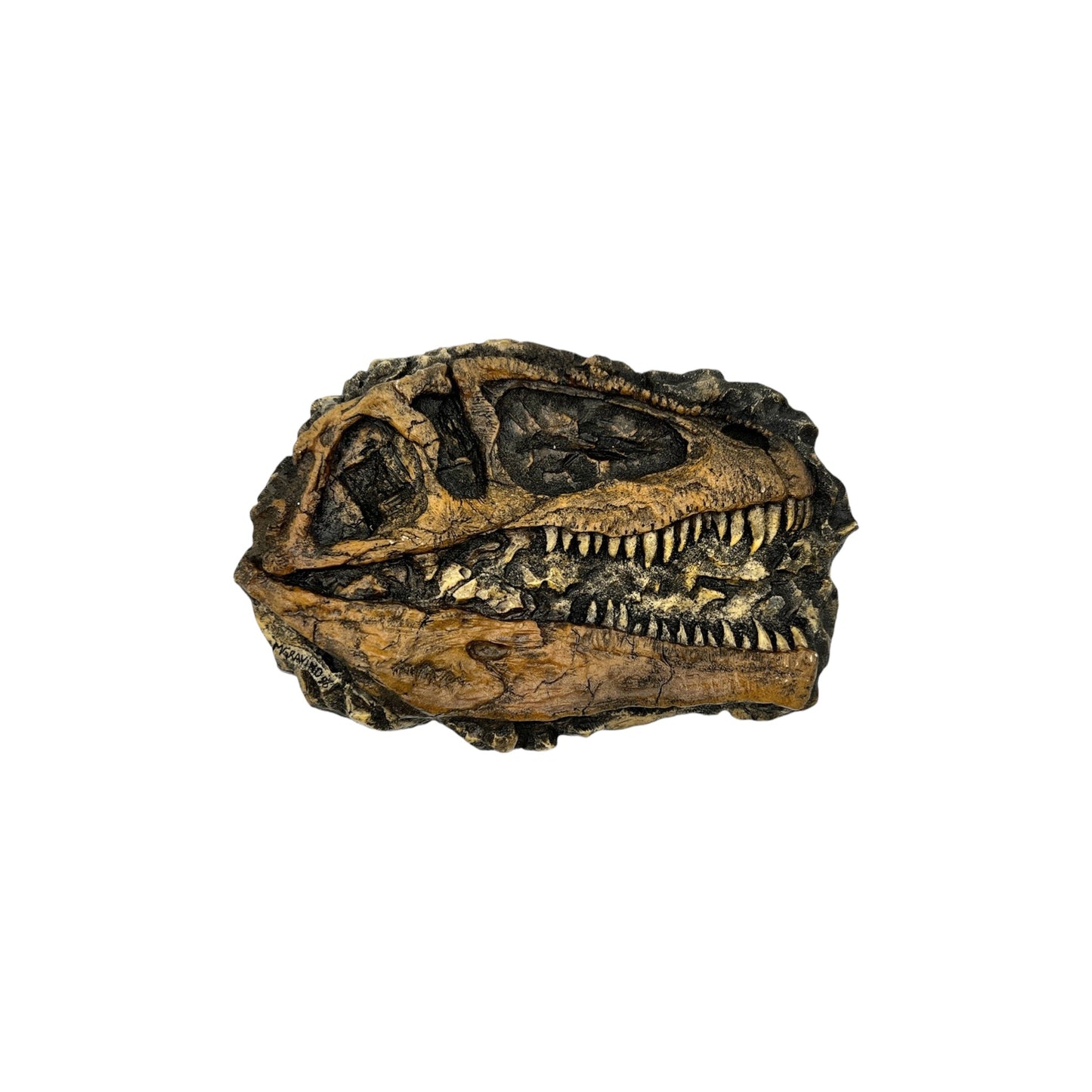 Skull Replica (Giganotosaurus Plaque)