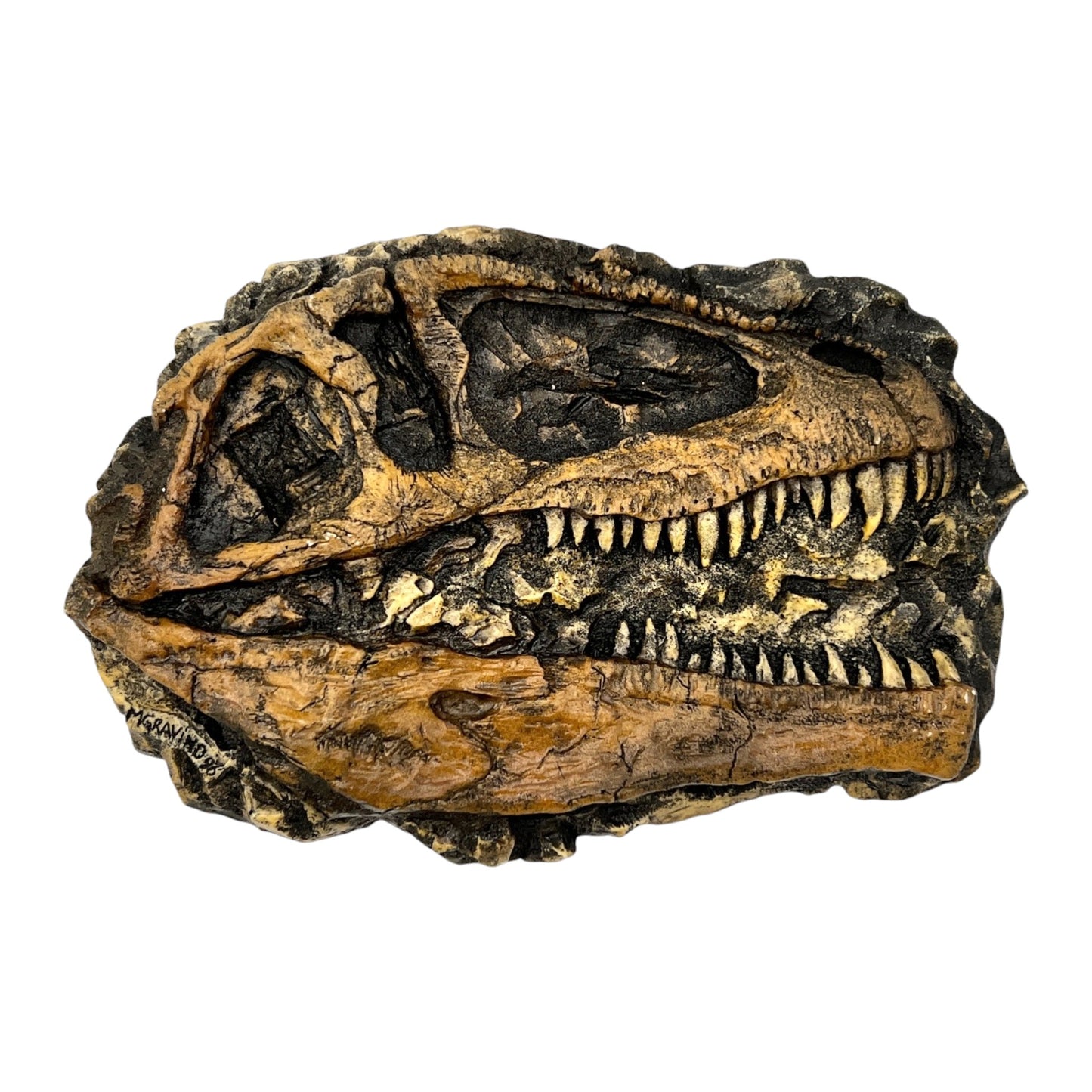 Skull Replica (Giganotosaurus Plaque)