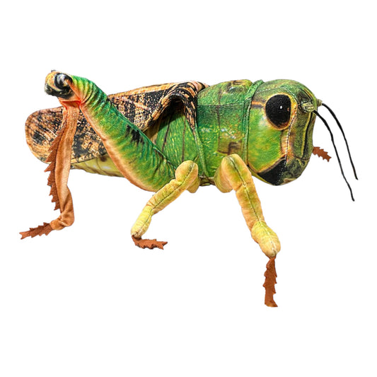 Grasshopper Plush