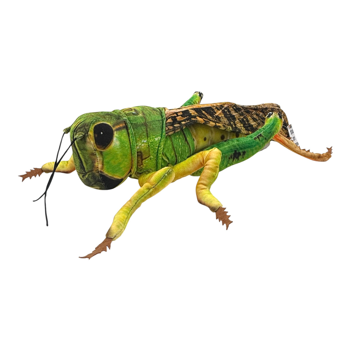 Grasshopper Plush
