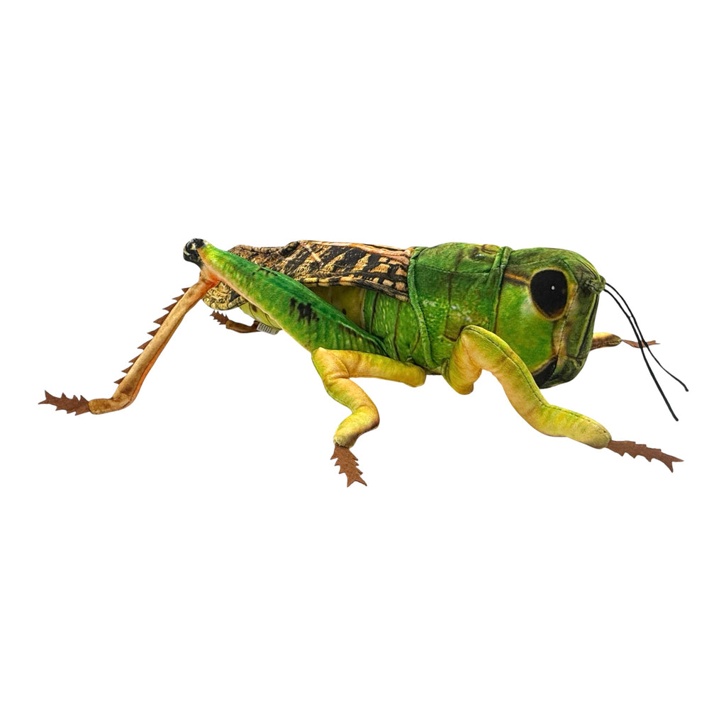 Grasshopper Plush