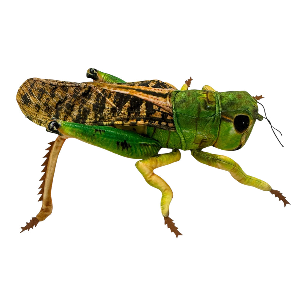 Grasshopper Plush