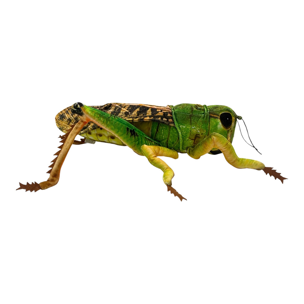 Grasshopper Plush