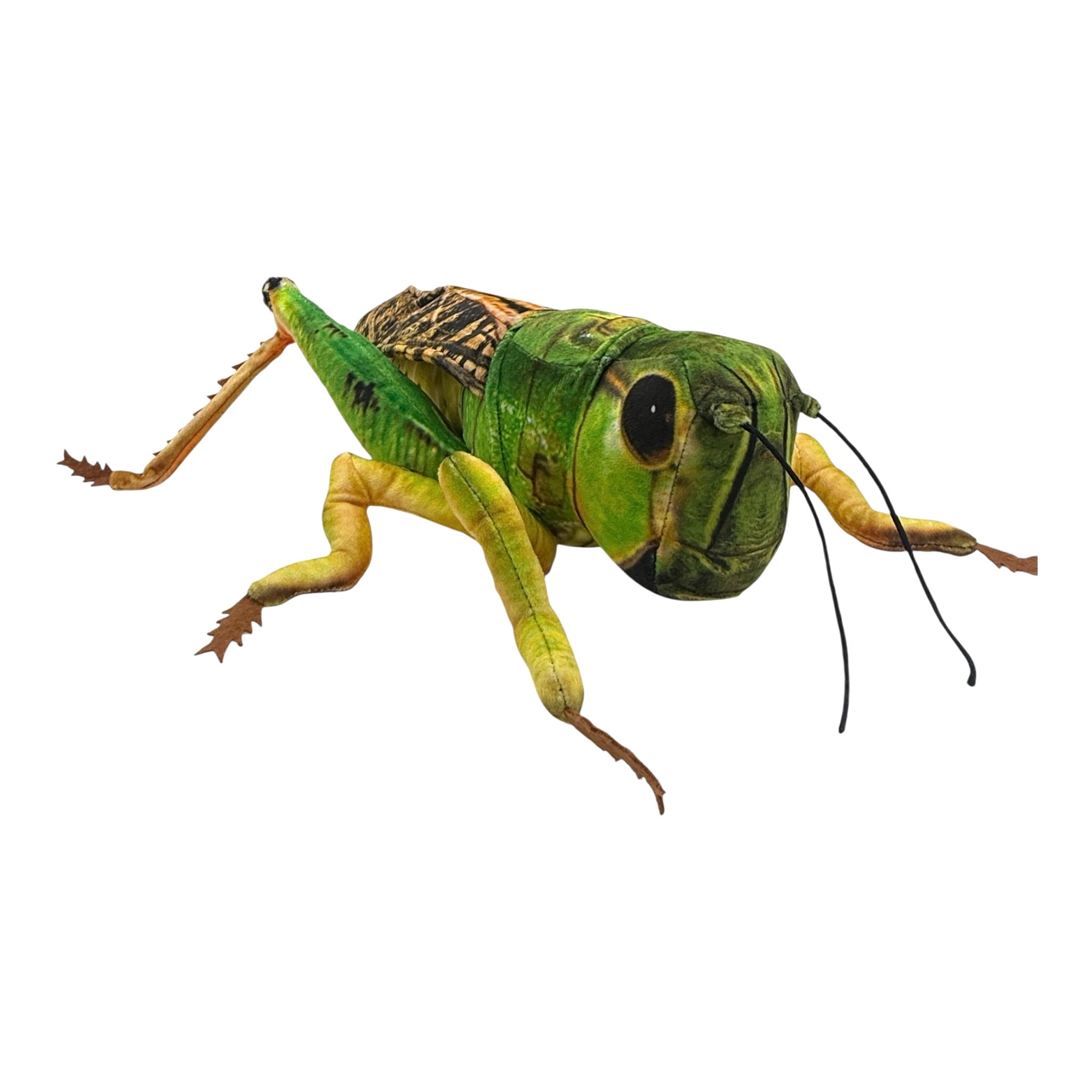 Grasshopper Plush
