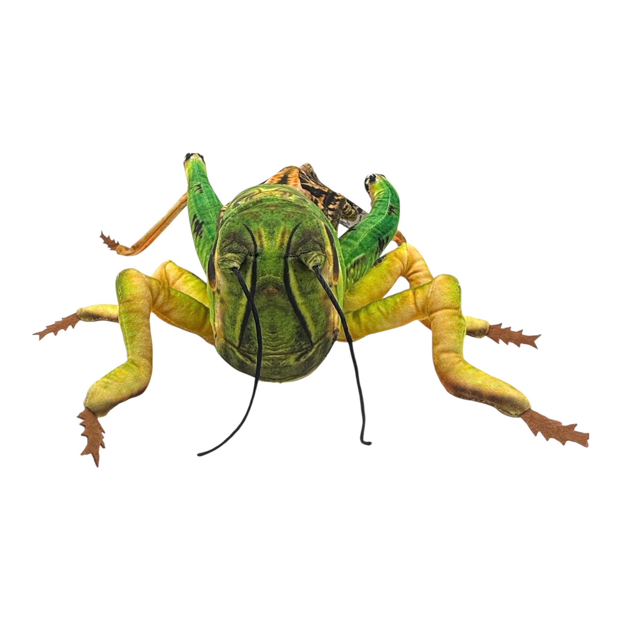 Grasshopper Plush