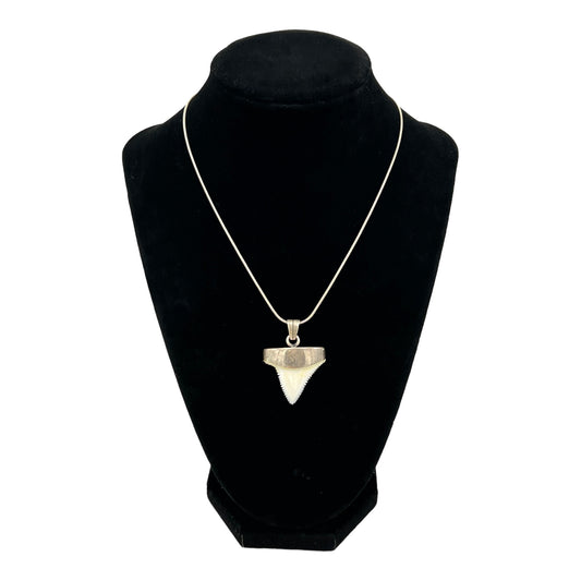 Shark Tooth Necklace (Great White)