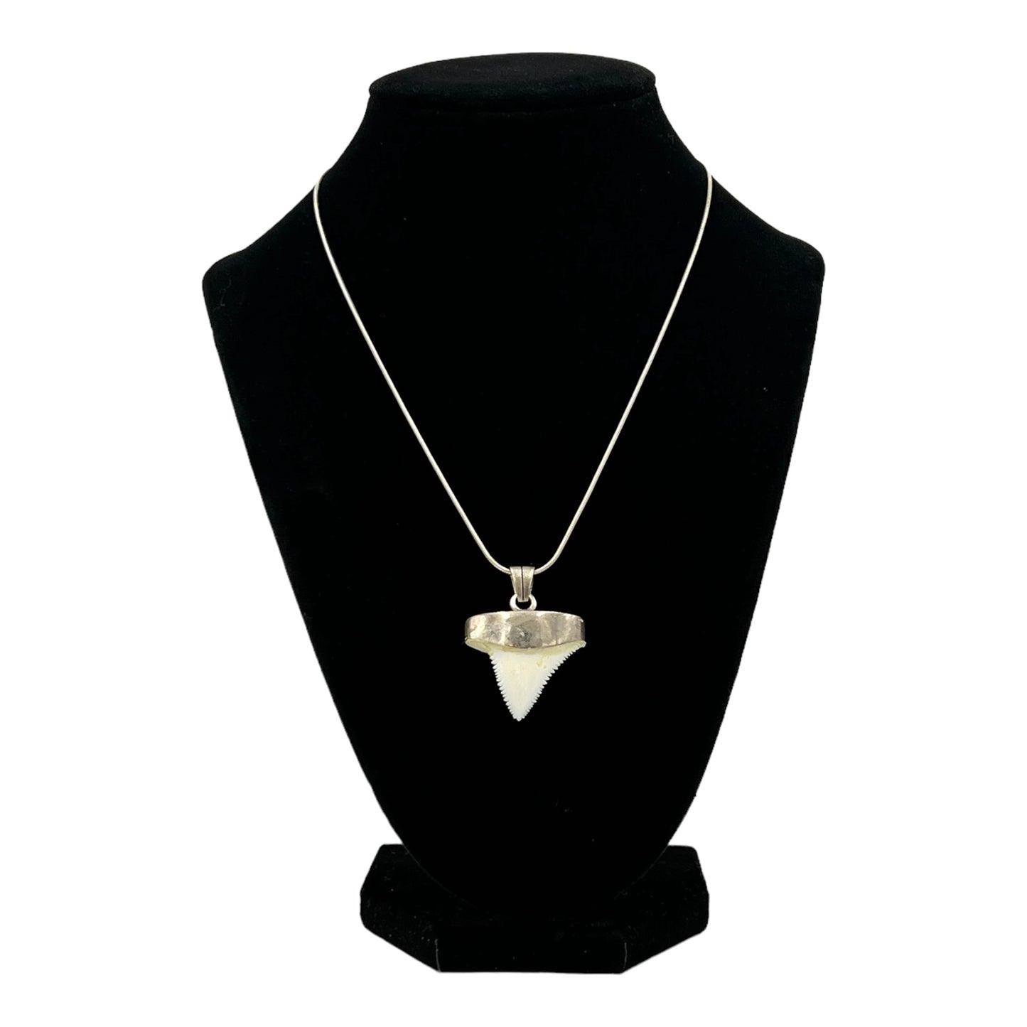 Shark Tooth Necklace (Great White)