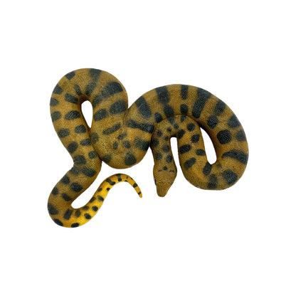 Green Anaconda (Safari)