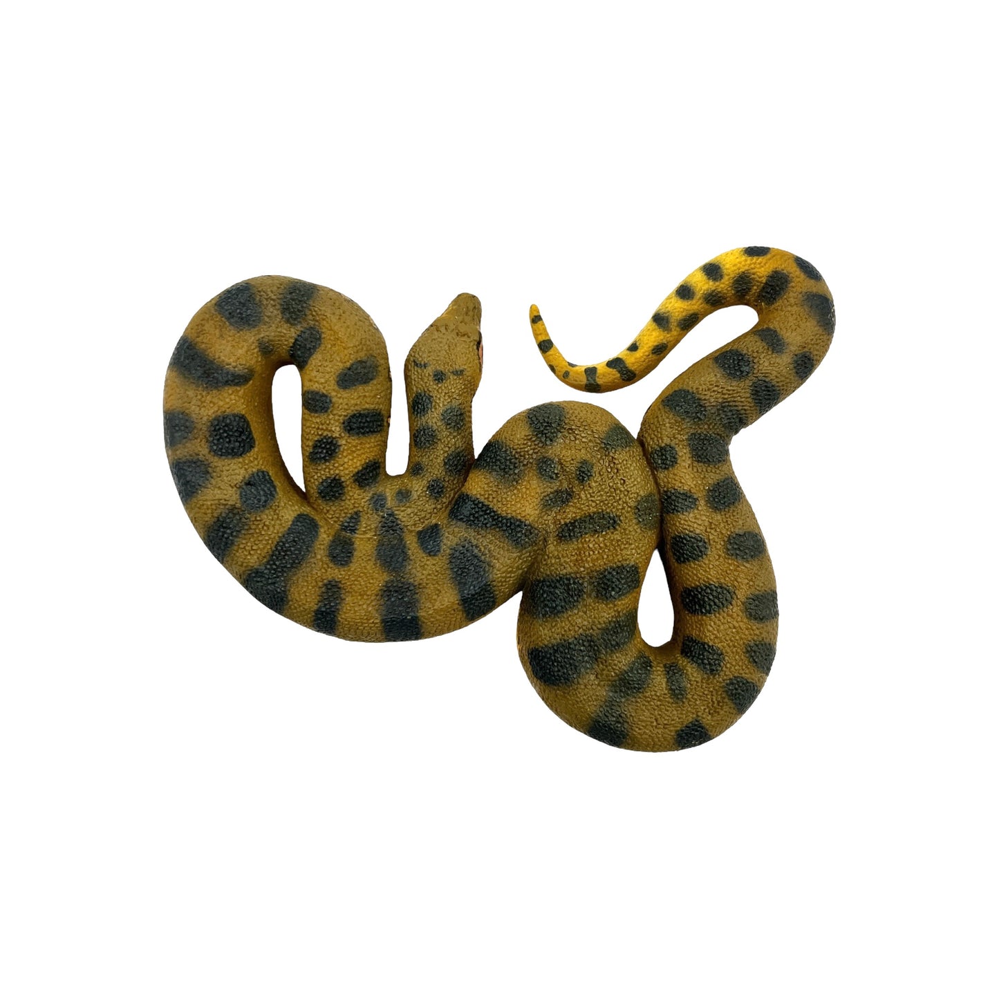 Green Anaconda (Safari)