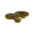 Green Anaconda (Safari)