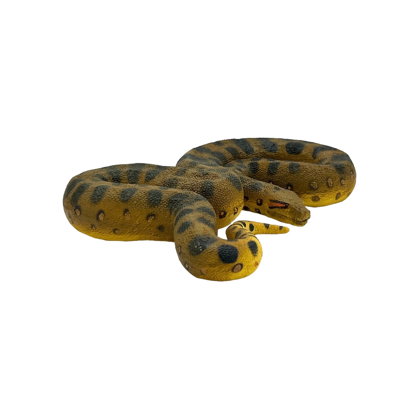 Green Anaconda (Safari)