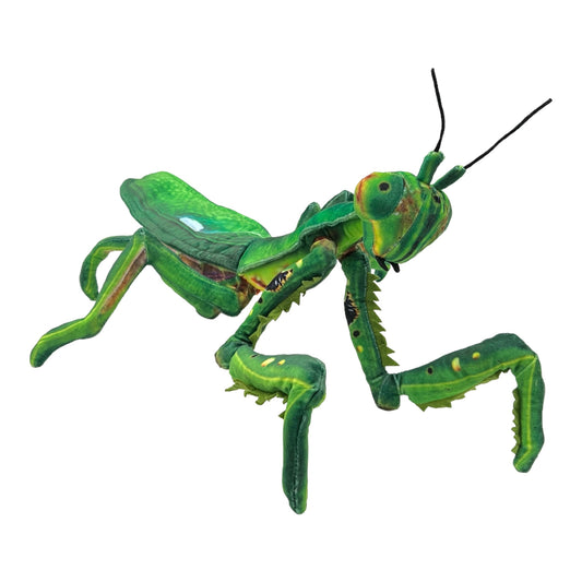 Praying Mantis Plush (Green)