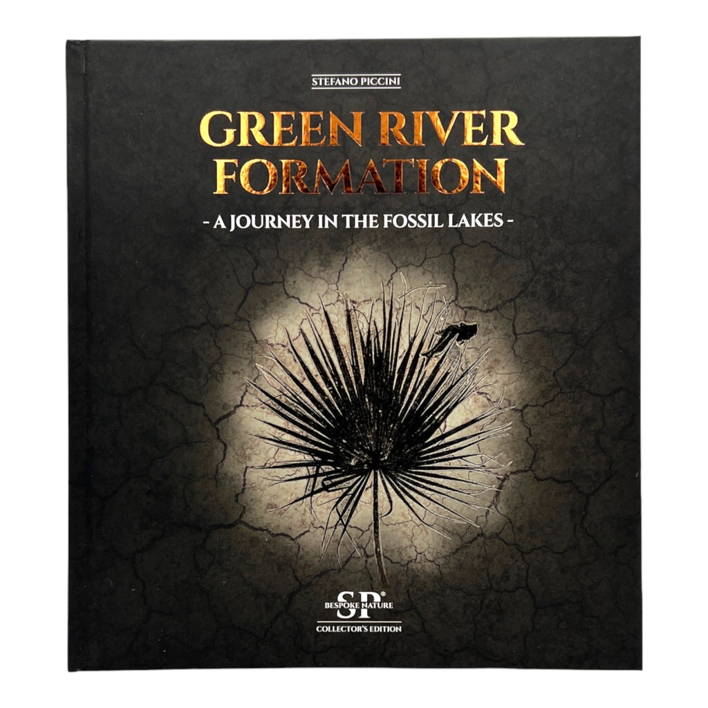 Green River Formation