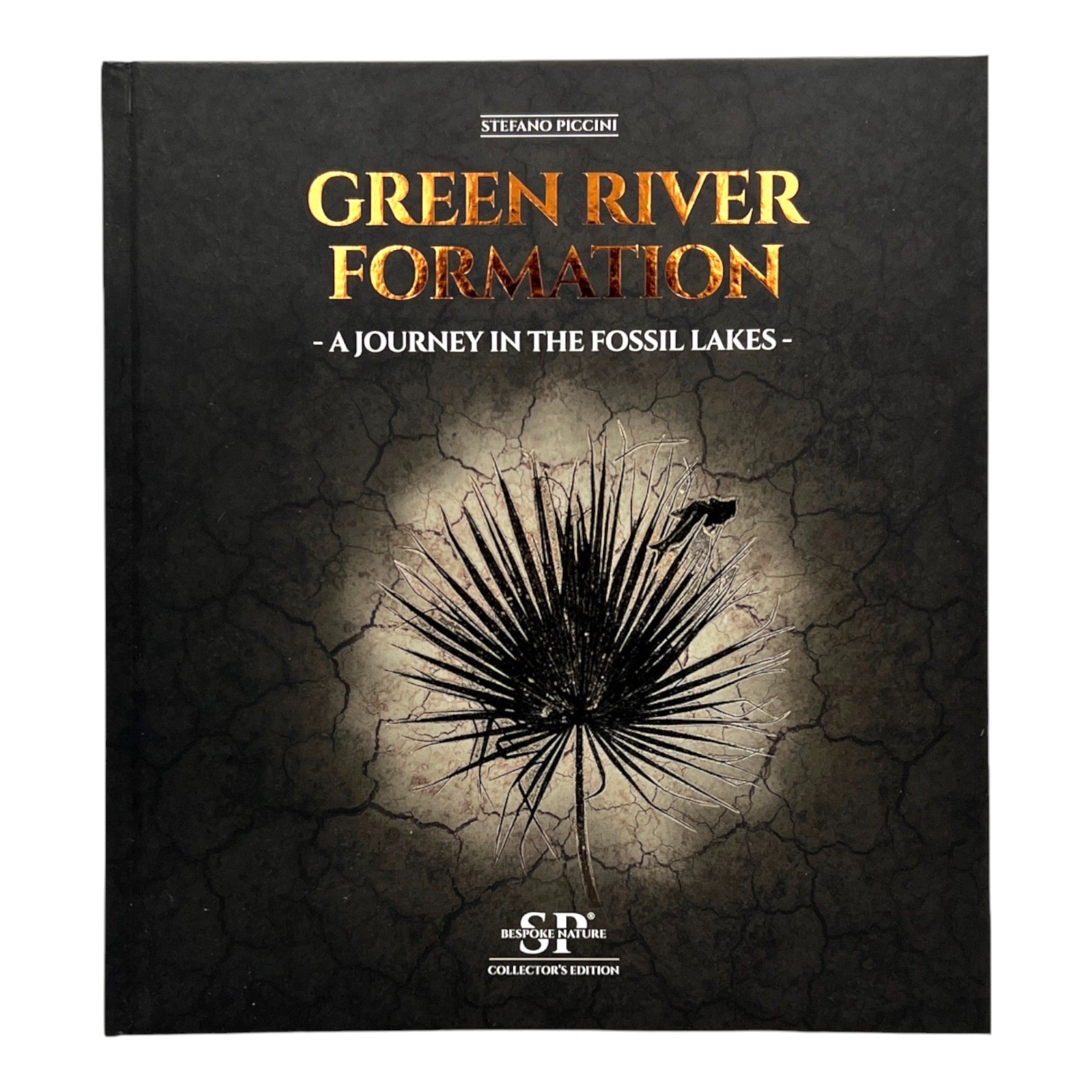 Green River Formation
