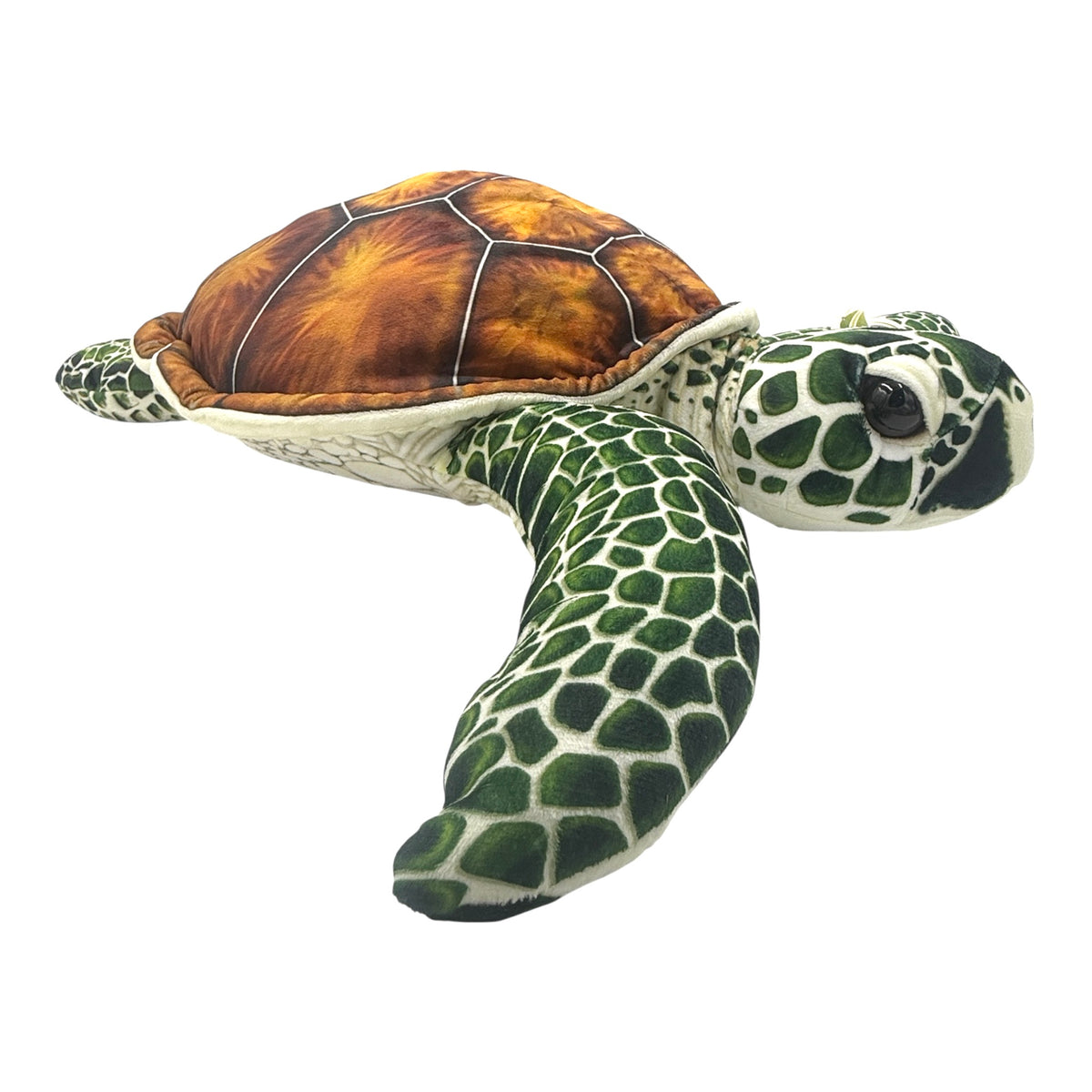 Green Sea Turtle Plush