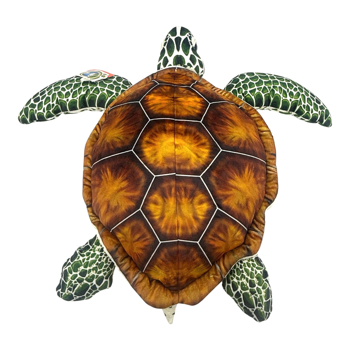 Green Sea Turtle Plush