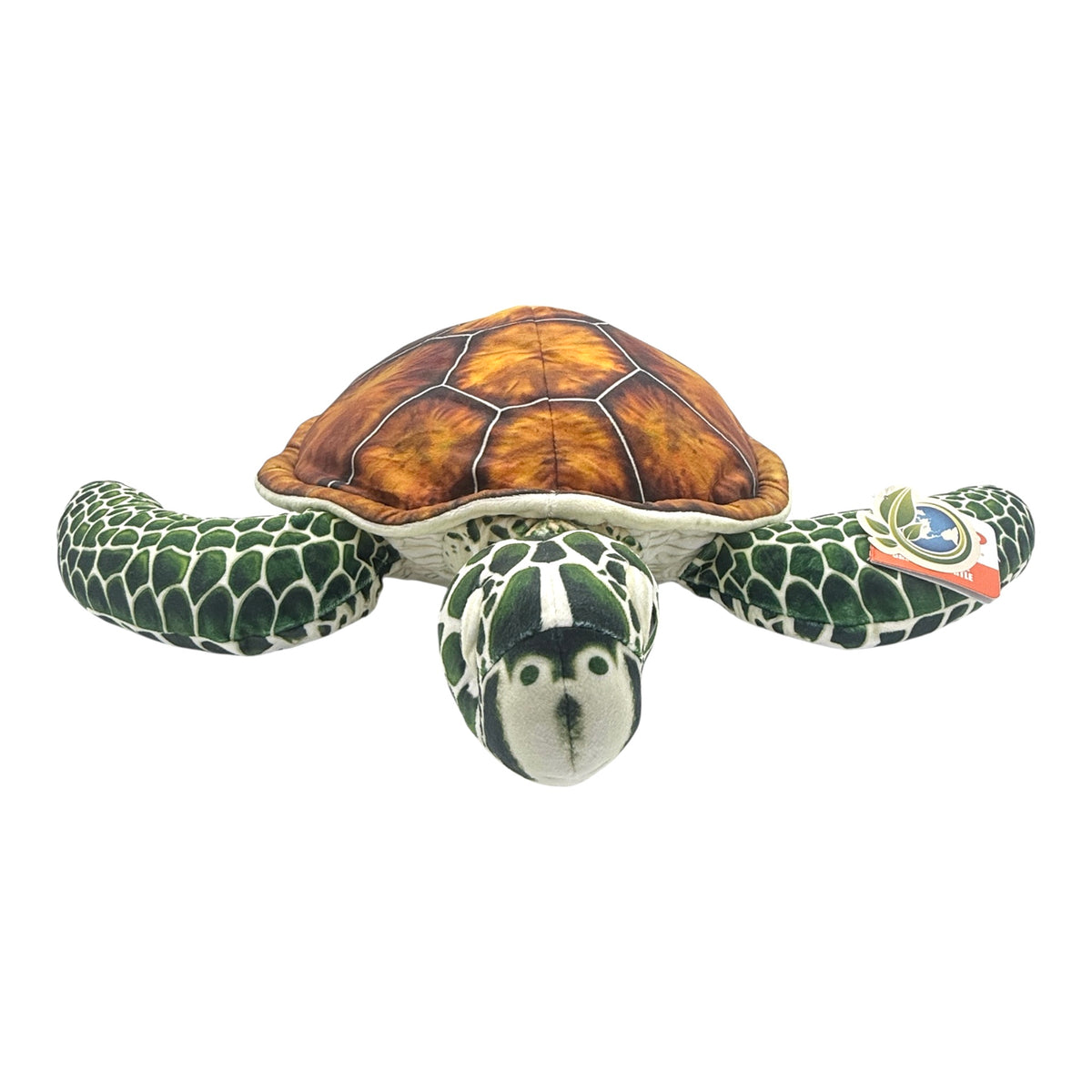 Green Sea Turtle Plush