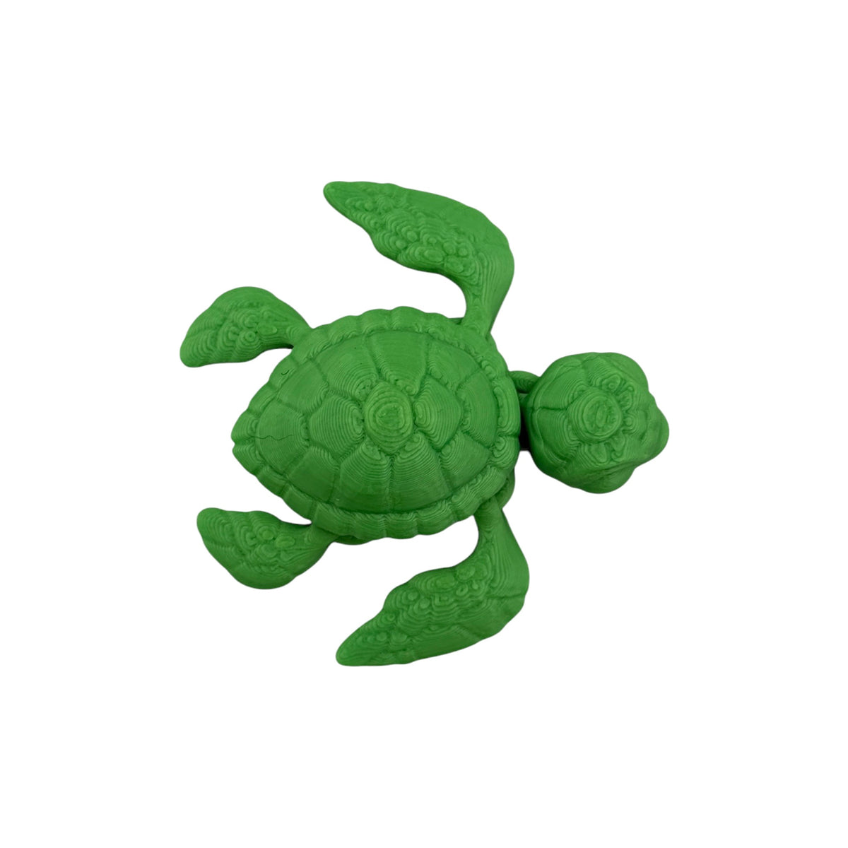 3D Printed Turtle