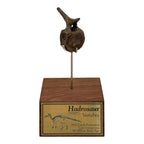 Hadrosaur Caudal Vertebra