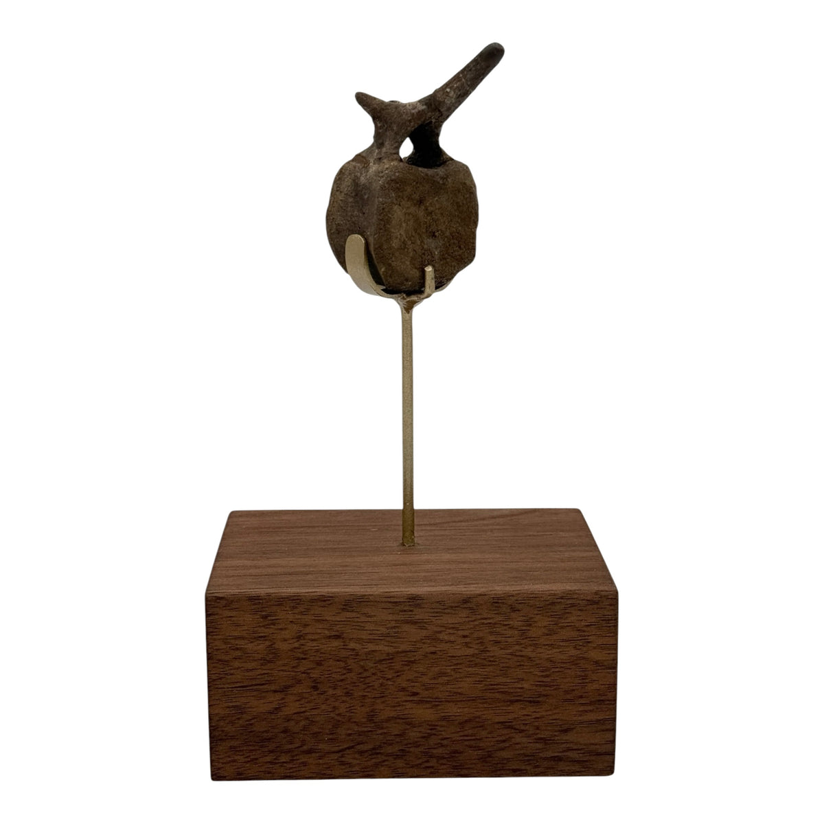 Hadrosaur Caudal Vertebra