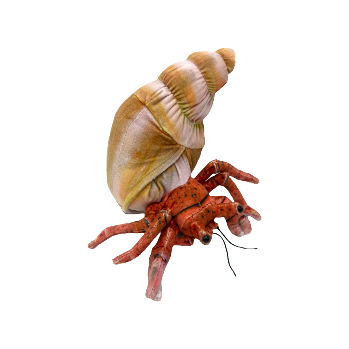 Hermit Crab Plush