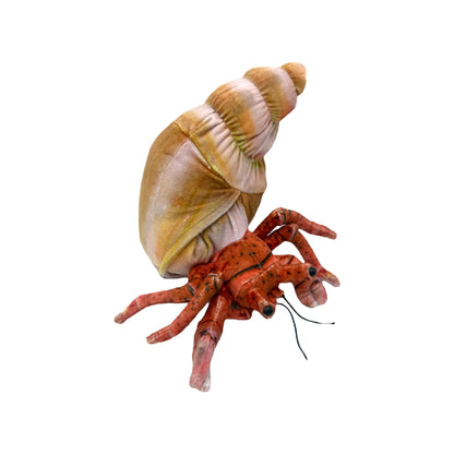 Hermit Crab Plush
