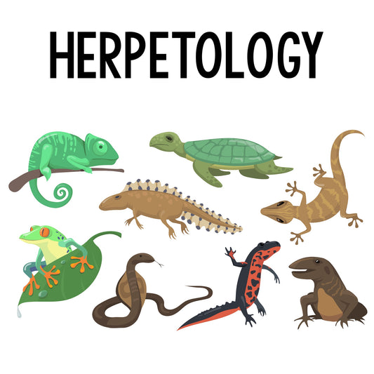 Herpetology Class