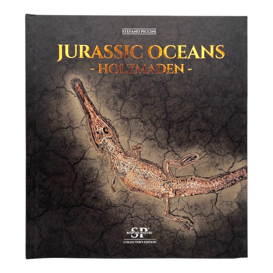 Jurassic Oceans - Holzmaden