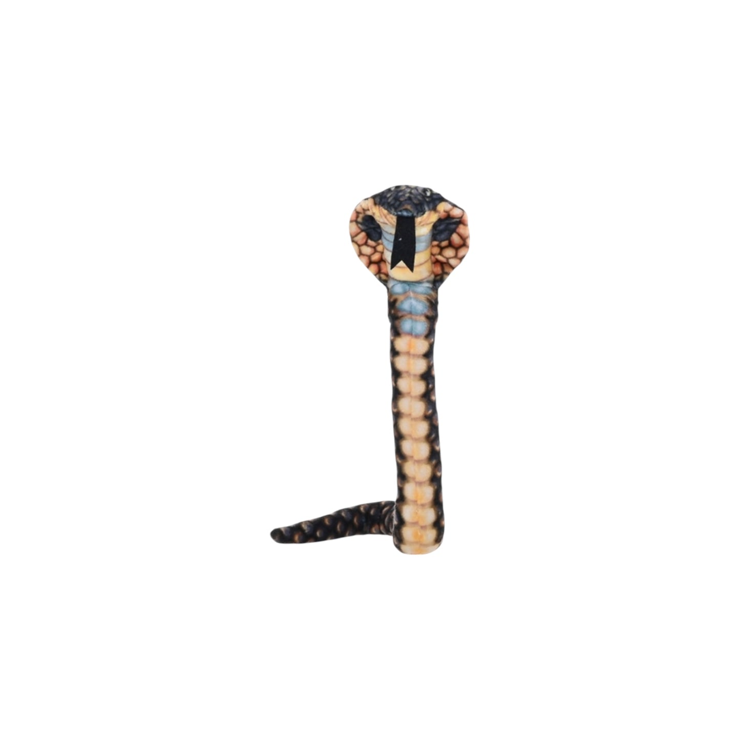 Coilkins Snake