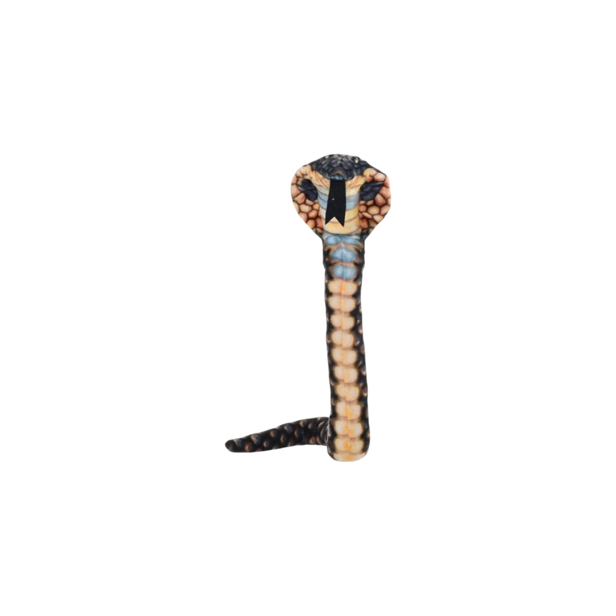 Coilkins Snake