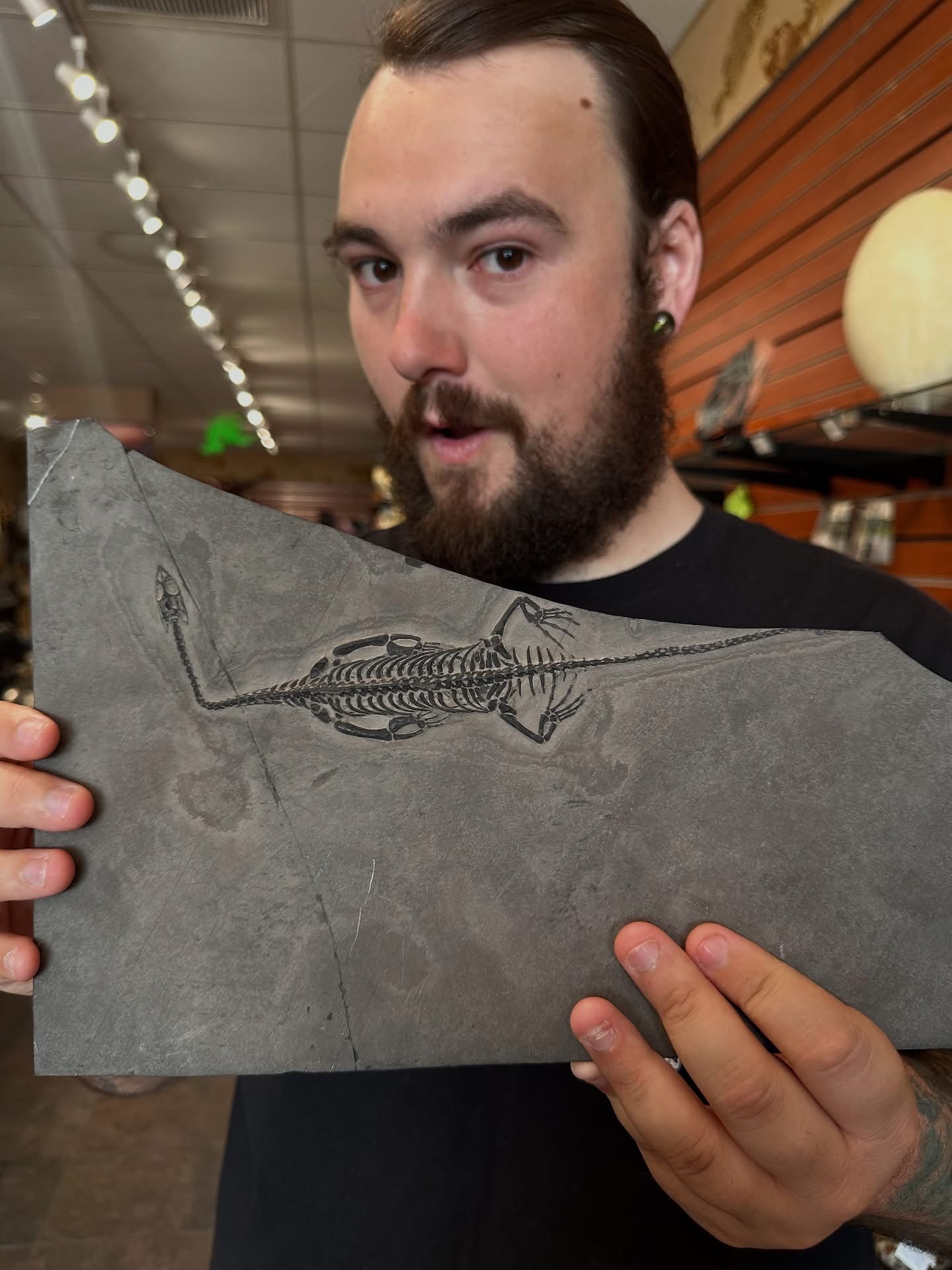 Keichousaurus Fossil