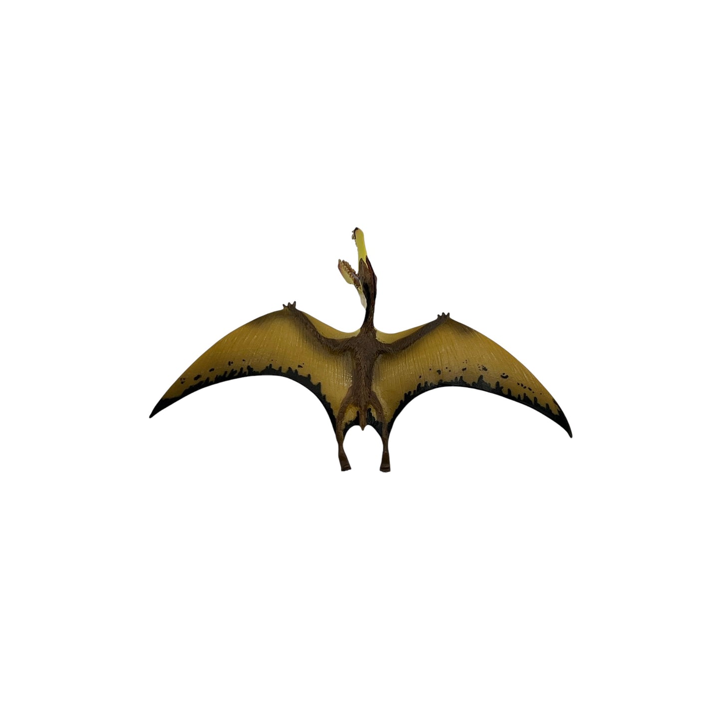 Pterosaur (Safari)