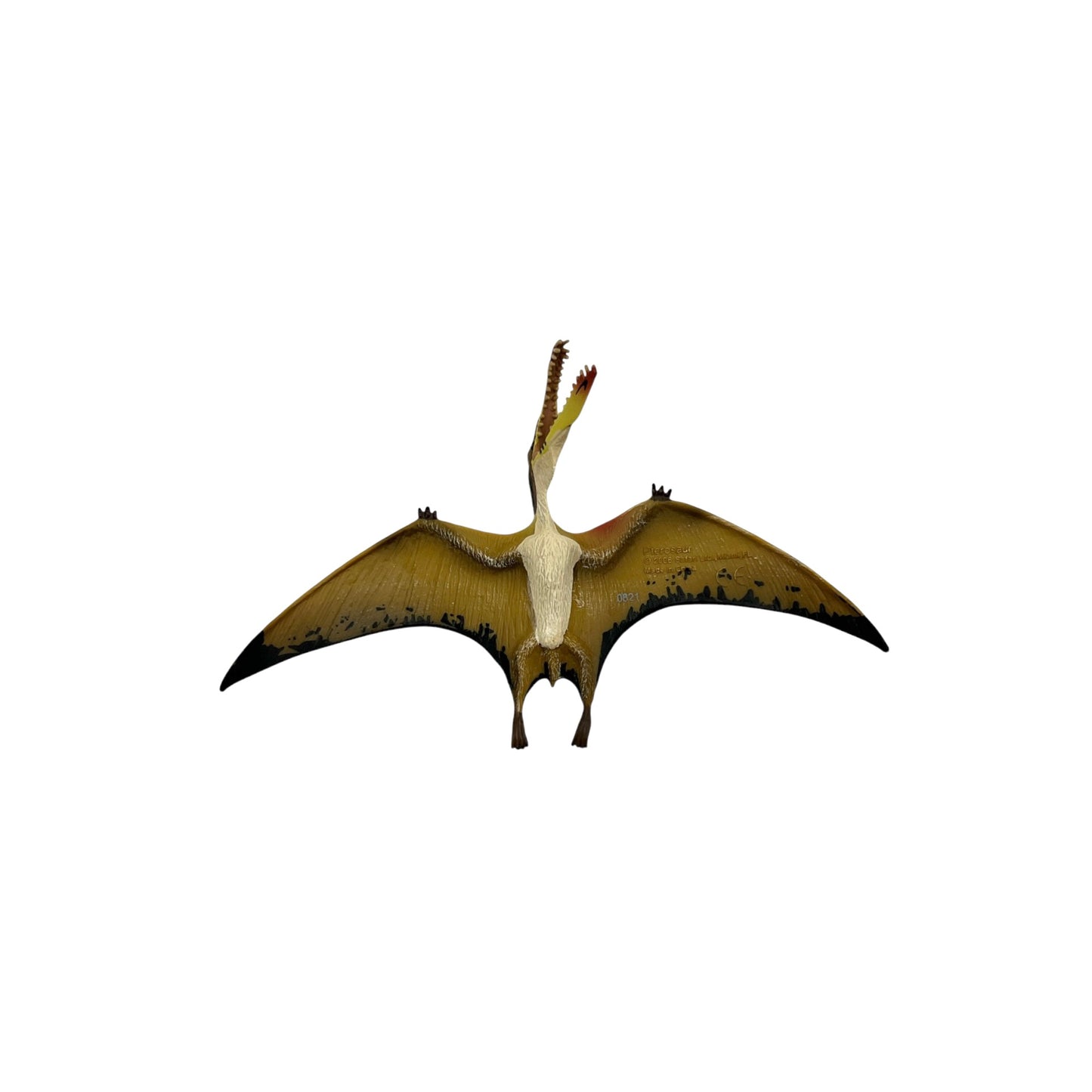 Pterosaur (Safari)