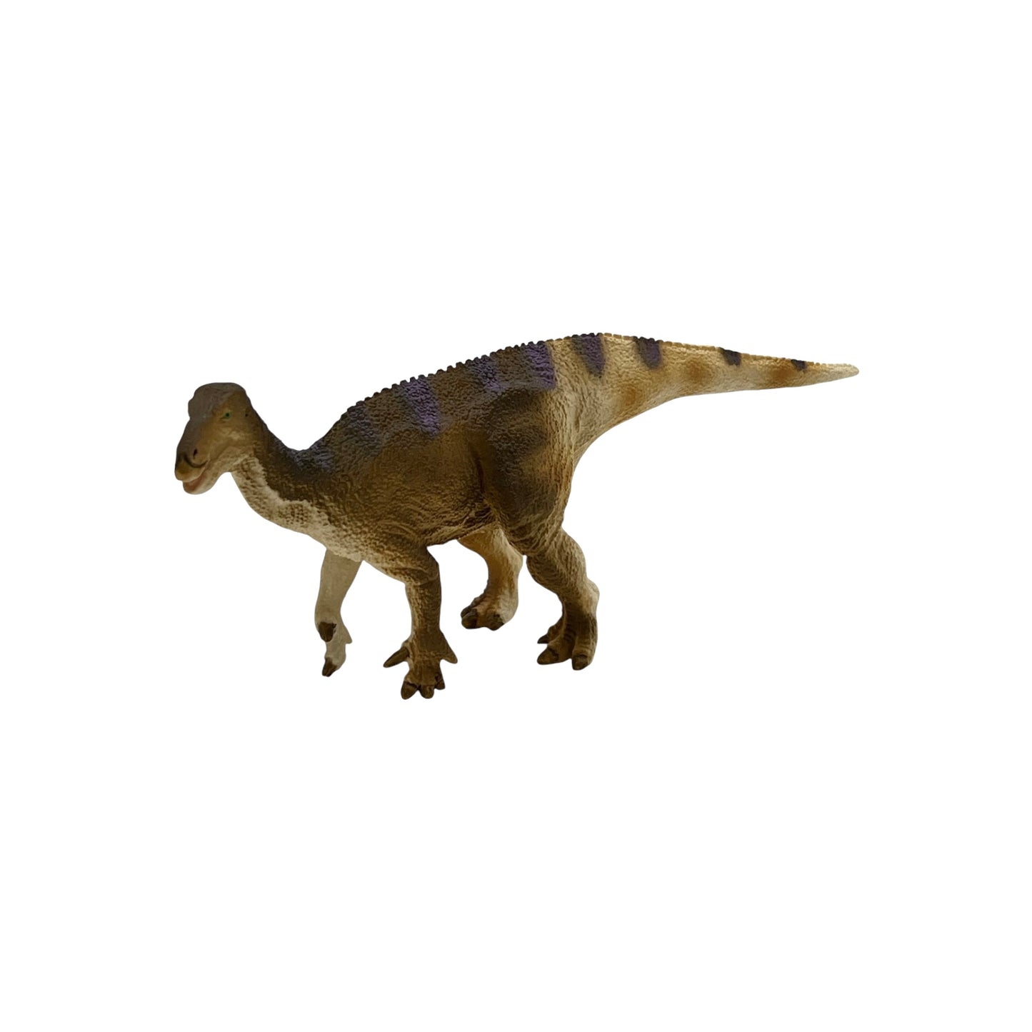 Iguanodon (Safari)