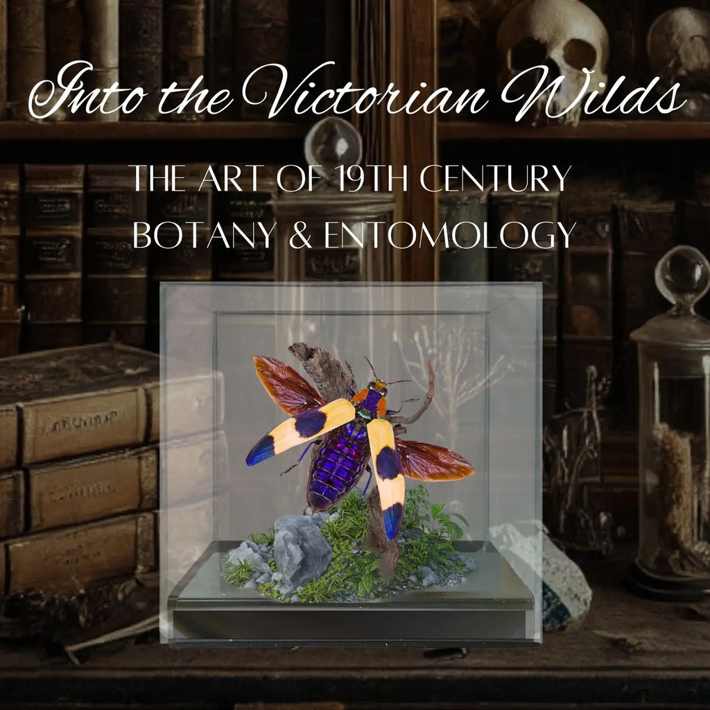 Jewel Beetle Diorama