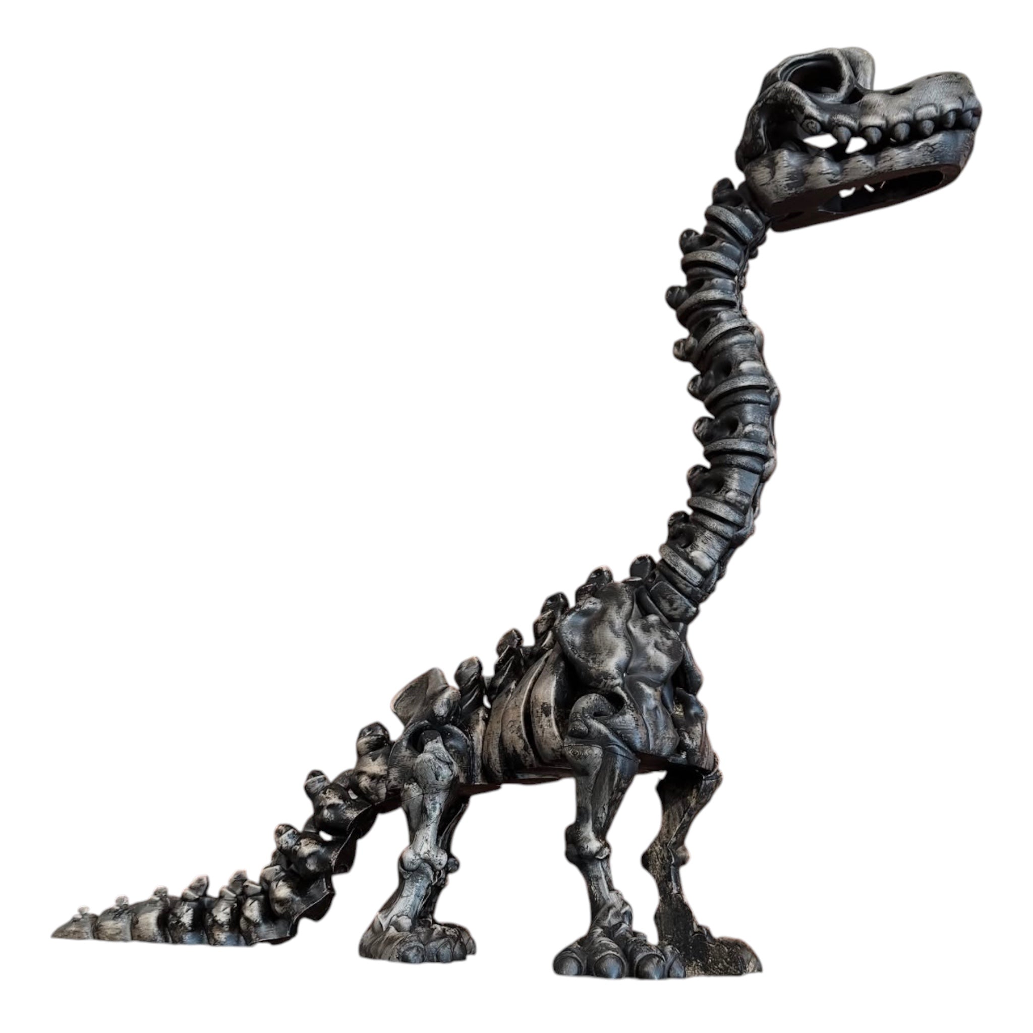 3D Printed Jumbo Dinosaur Skeleton