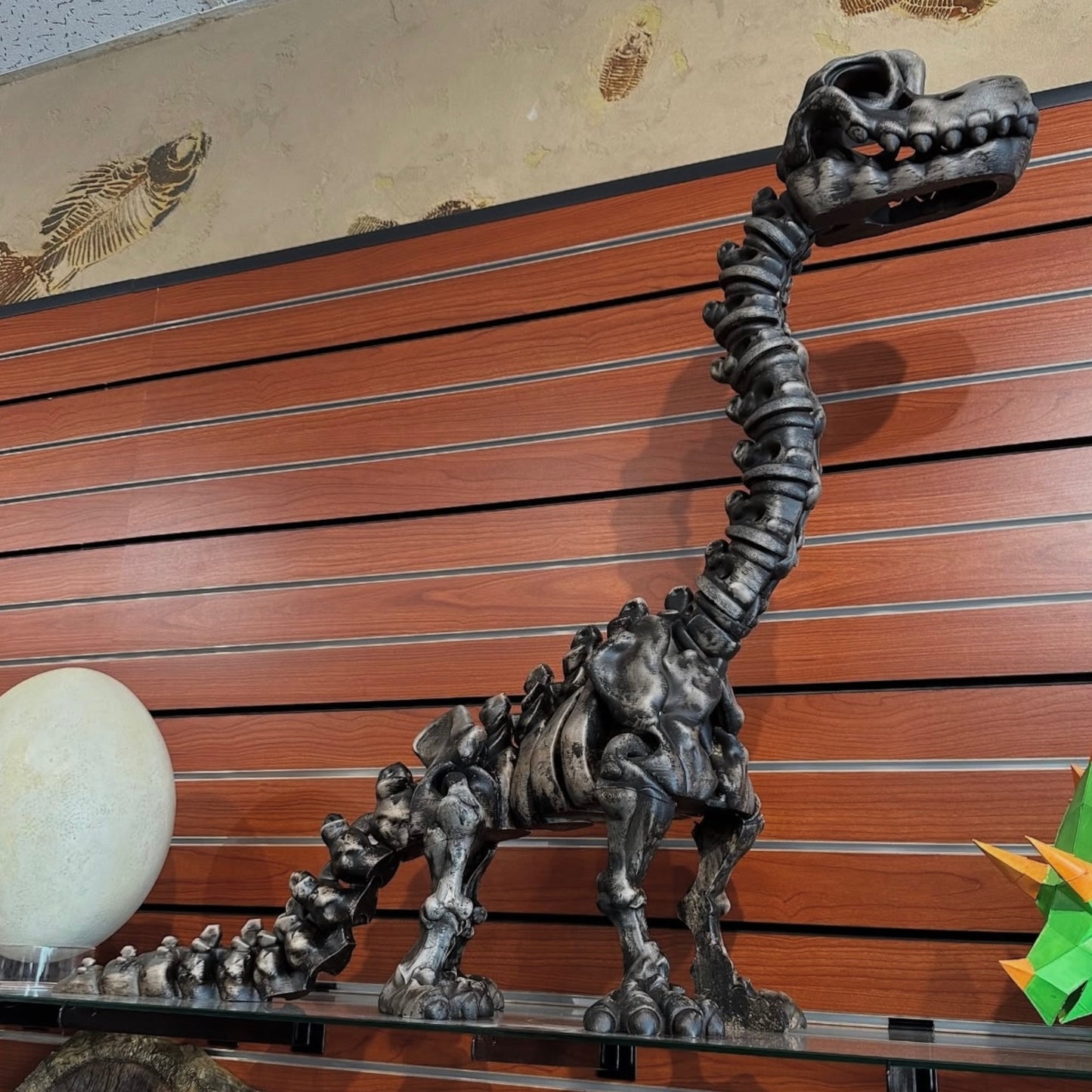 3D Printed Jumbo Dinosaur Skeleton