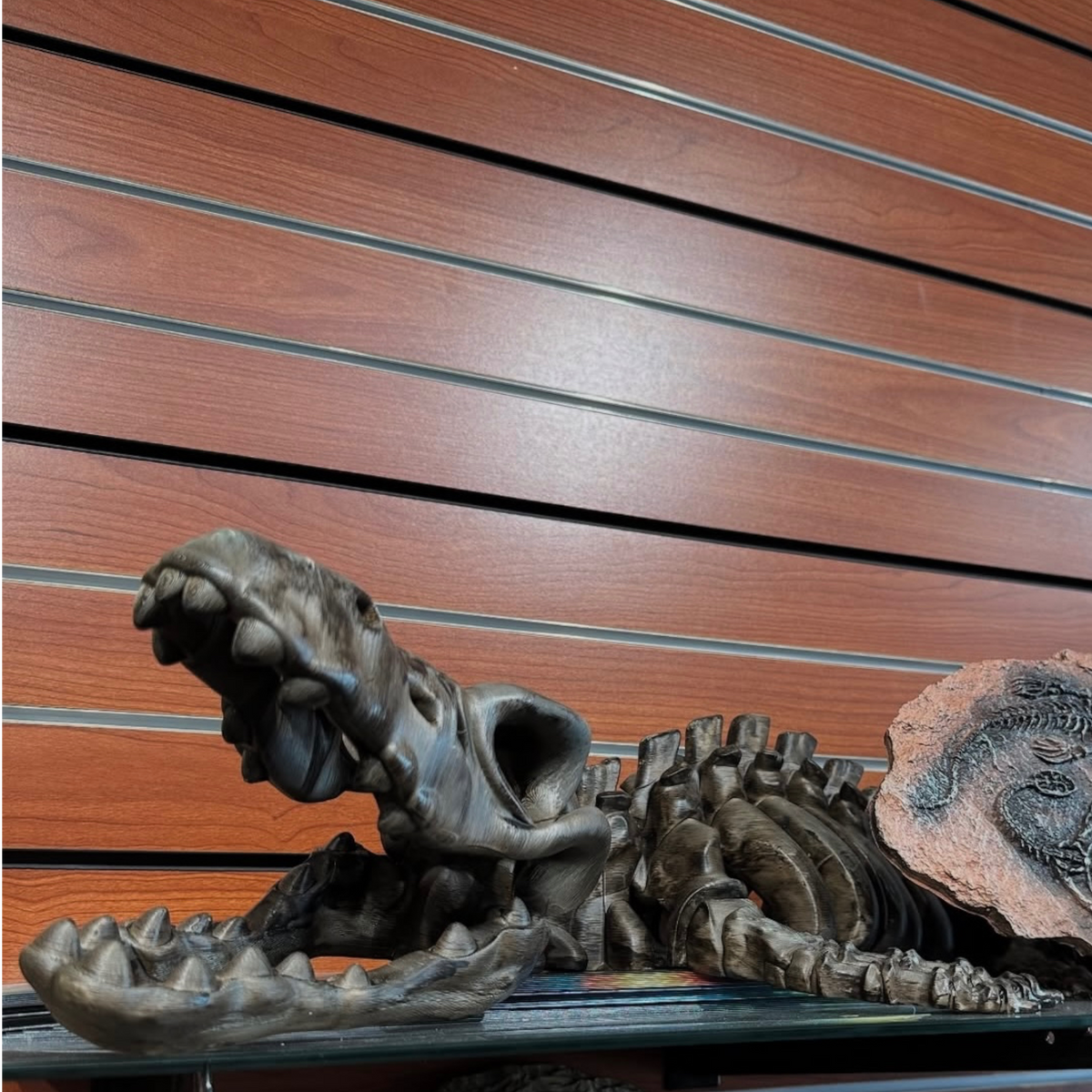 3D Printed Jumbo Dinosaur Skeleton