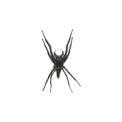 Giant Jumping Spider